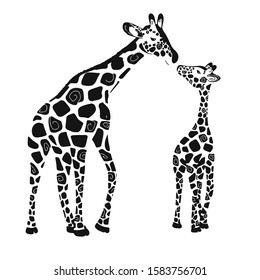 Two cute giraffes isolated on a white background. Baby giraffe and adult giraffe. Vector illustration