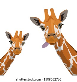 Two cute giraffes on a white background. Wildlife, Zoology, Safari. Flat design. Vector illustration.