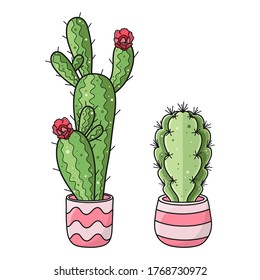Two cute hand drawn cacti in a pots isolated on white background. Vector graphic elements for package, wrapping paper, banner, print, card, gift, fabric, label, advertising, textile, web.