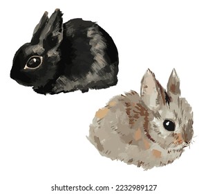 Two cute hand-drawn vector bunnies