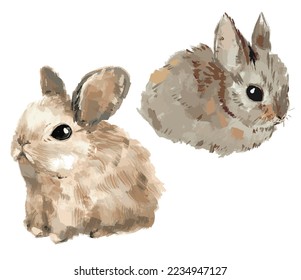 Two cute hand-drawn vector bunnies