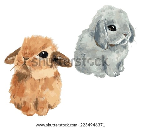 Two cute hand-drawn vector bunnies