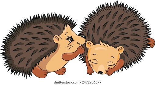Dos lindos erizos aislados en blanco. Vector