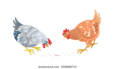 Two cute hens found a worm. In cartoon style. Isolated on white background. Vector flat illustration