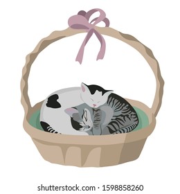 Two cute kittens sleep in wicker basket. Vector illustration.