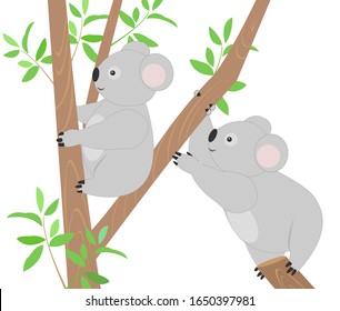 Two cute koalas on the tree cartoon.
