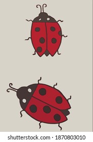 two cute ladybugs on a white background