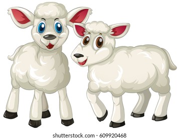 Dos lindos corderos parados ilustración