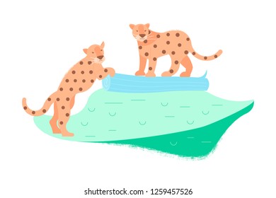 Two cute leopards, wild cats in flat cartoon style.  Vector illustration