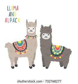 Two cute llamas standing and smiling isolated on white background