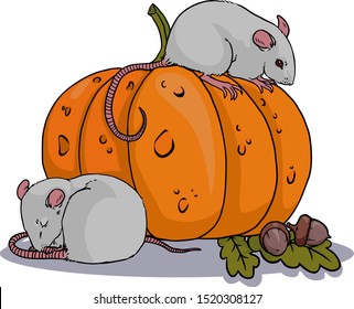 Two cute mice with pumpkin and acorns. Vector illustration drawings on a white background.