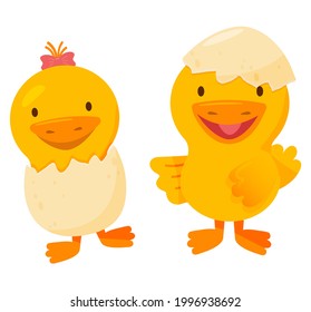 Two cute newborn ducklings with the eggshell on them. Flat vector illustration for easter holidays or kids birthday celebration.