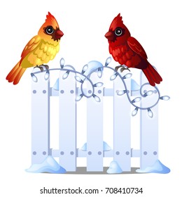 Two cute Northern Cardinal birds sit on a snowy wooden fence isolated on white background. Sample of Christmas and New year greeting card, festive poster or party invitations. Vector cartoon close-up.