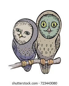 Two cute owls cartoon image. Artistic freehand drawing.