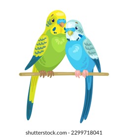 Two cute parakeets are sitting on a stick together. In cartoon style. Isolated on white background. Vector flat illustration