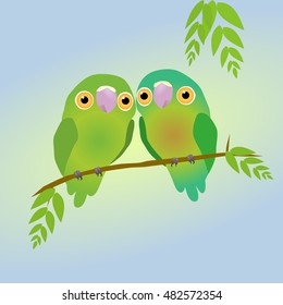 two cute parrots