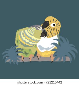 Two cute parrots enjoy their time together. Green Cheek Conures. Vector Illustration