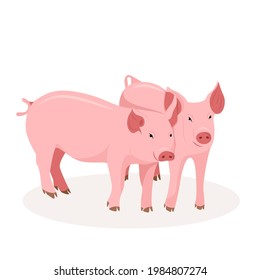 Two cute pigs. Country pet. Isolated character on a white background. Vector illustration in a flat style.