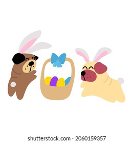 Two cute Pugs with bunny ears play around Easter basket full of eggs. Vector illustration on white background