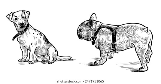 Dos perros lindos de pura raza en el paseo, dibujo realista de la mano aislado en la Ilustración vectorial blanca