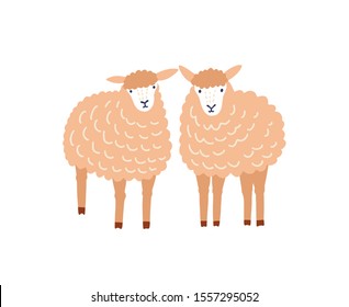 Two cute sheep flat vector illustration. Adorable woolly lambs, fluffy domestic animals isolated on white background. Ewe breeding, ovine farm livestock, husbandry decorative design element.