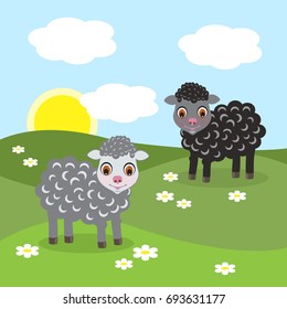 Two cute sheep grazing in the meadow. 