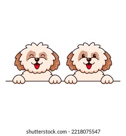 Two cute shih tzu dogs smiling on white background. Cartoon vector illustration