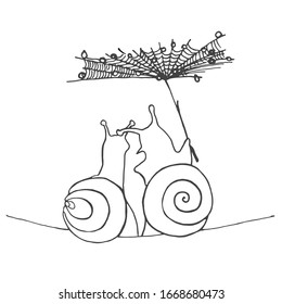 Two cute snails are hiding from the rain under fluffy dandelion seed  umbrella covered in raindrops and cobweb