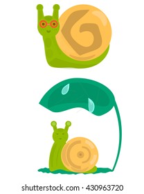 Two cute snails. Vector illustration