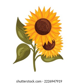 Zwei süße Sonnenblumen auf Stamm mit Blättern. Vektorgrafik einzeln auf weißem Hintergrund. Cartoon-Stil