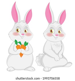 two cute vector rabbit illustration