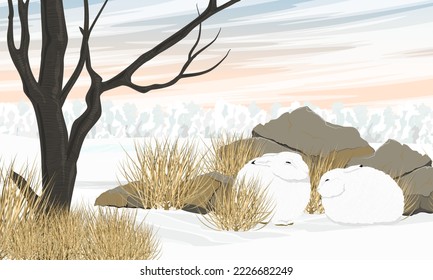 Two cute white polar hares hide from the cold behind tall rocks and dry grass. Trees and snowy forest. Wild animal of the Arctic. Realistic vector landscape