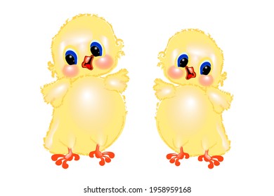 two cute yellow fluffy chickens with blue eyes.isolated on a white background.vector illustration