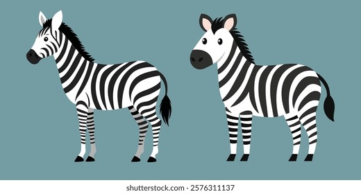 Two cute zebra set  vector design