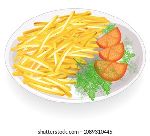 Two cutlets on a plate. Garnish the hot fried potatoes strips. Tomatoes and greens nearby. Fast, tasty and nutritious food. Vector illustration.