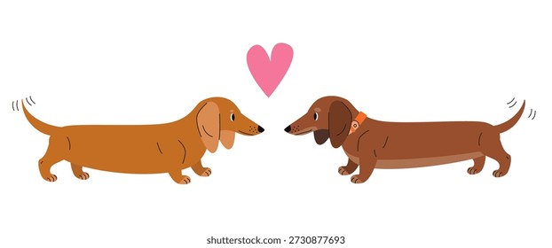 Dos perros perro perro dachshund mirando hacia el otro con el símbolo del corazón arriba. Ilustración de la pareja del perro de la salchicha en el fondo blanco. Amor y afecto concepto de mascota para el diseño y la impresión. 