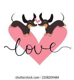 Dos dachshunds enamorados, un corazón y la inscripción amor en un fondo blanco. Ilustración vectorial para el día de San Valentín