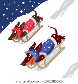 Dos dachshunds sobre un trineo, deslizándose por la pendiente invernal, ilustración vectorial