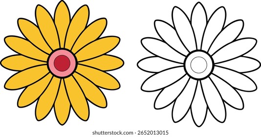 Duas flores margaridas uma cor amarela e um contorno preto no vetor de fundo branco