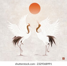 Two dancing crane birds and big red sun on vintage background. Traditional Japanese ink wash painting sumi-e. Translation of hieroglyph - beauty.