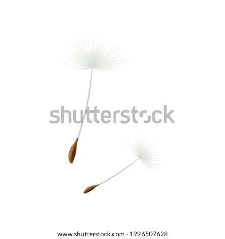 Similar – Image, Stock Photo two dandelion seeds in free flight against dark green background