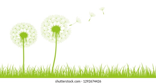 two dandelion silhouette with flying seeds on green meadow on white background vector illustration EPS10