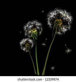 two dandelions in wind on light blue background
