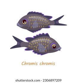 Two dark funny fish on the white background. Vector color isolated illustration.
