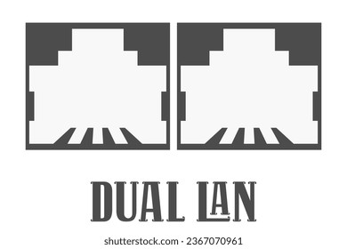 two dark and white connectors and the inscription "dual lan" at the bottom