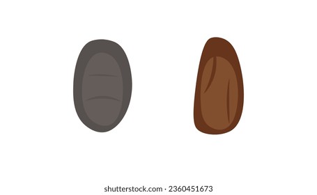 two dates isolated on white background