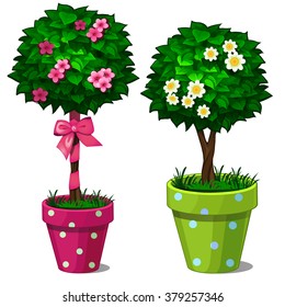 Two of the decorated tree in bonsai. Vector.