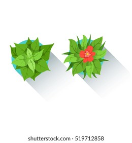 Two Decorative Table Plants Office Worker Desk Element