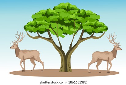 Two deer stand under tree, isolated on white, vector illustration