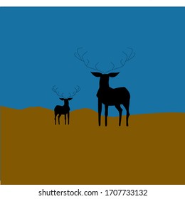 Two deers standing on mountain looking at something in front it 
